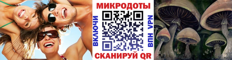 ссылка на мегу зеркало  Ивангород  Галлюциногенные грибы мухоморы 